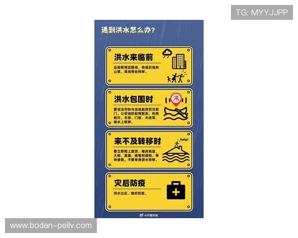 买波胆避坑指南 平台对比评测防骗防封