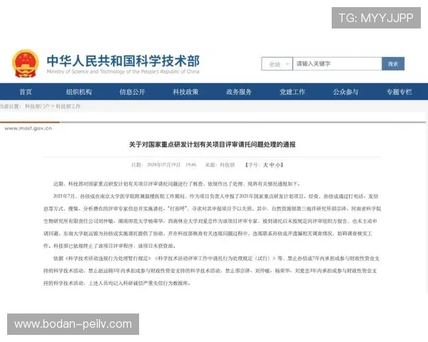 开云怎么查波胆记录避坑攻略电子真人防骗技巧