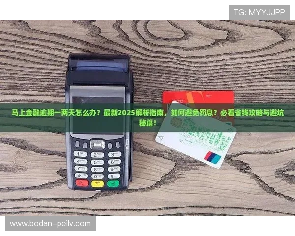 周末玩球推荐 彩票数字高频玩法防骗避坑指南 周末玩球推荐 彩票数字高频玩法防骗避坑指南